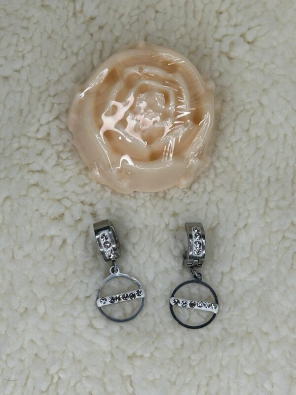 Aritos Colgantes Circulo con Zirconias
